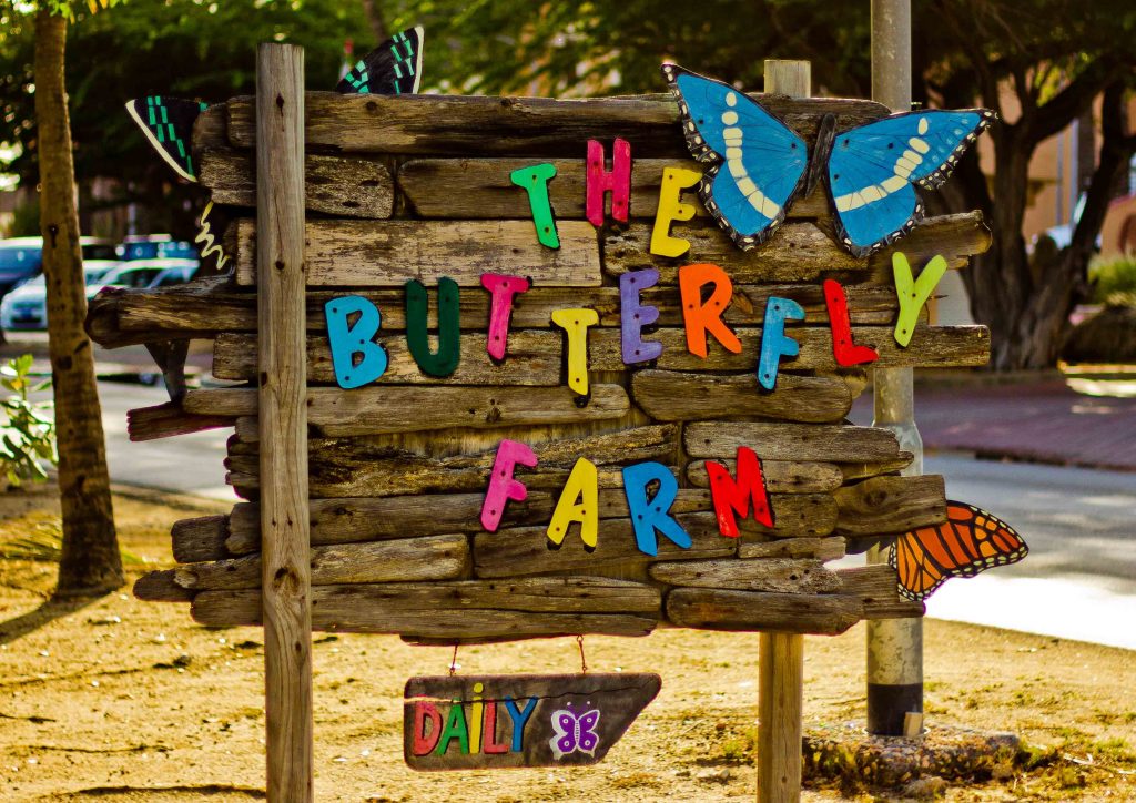 The Butterfly Farm flies into its 20th year in Aruba Aruba Today