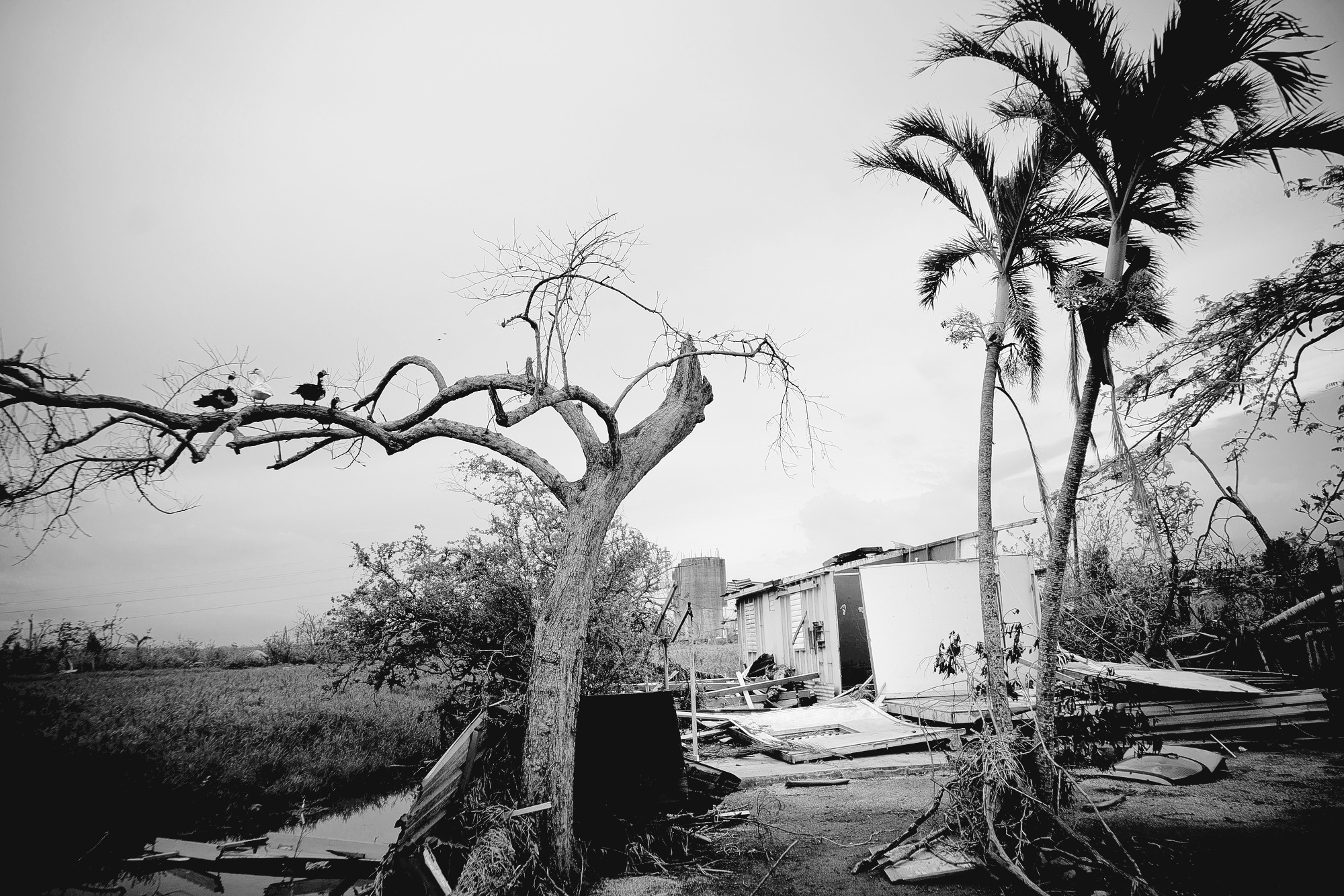 Puerto Rico Power Company