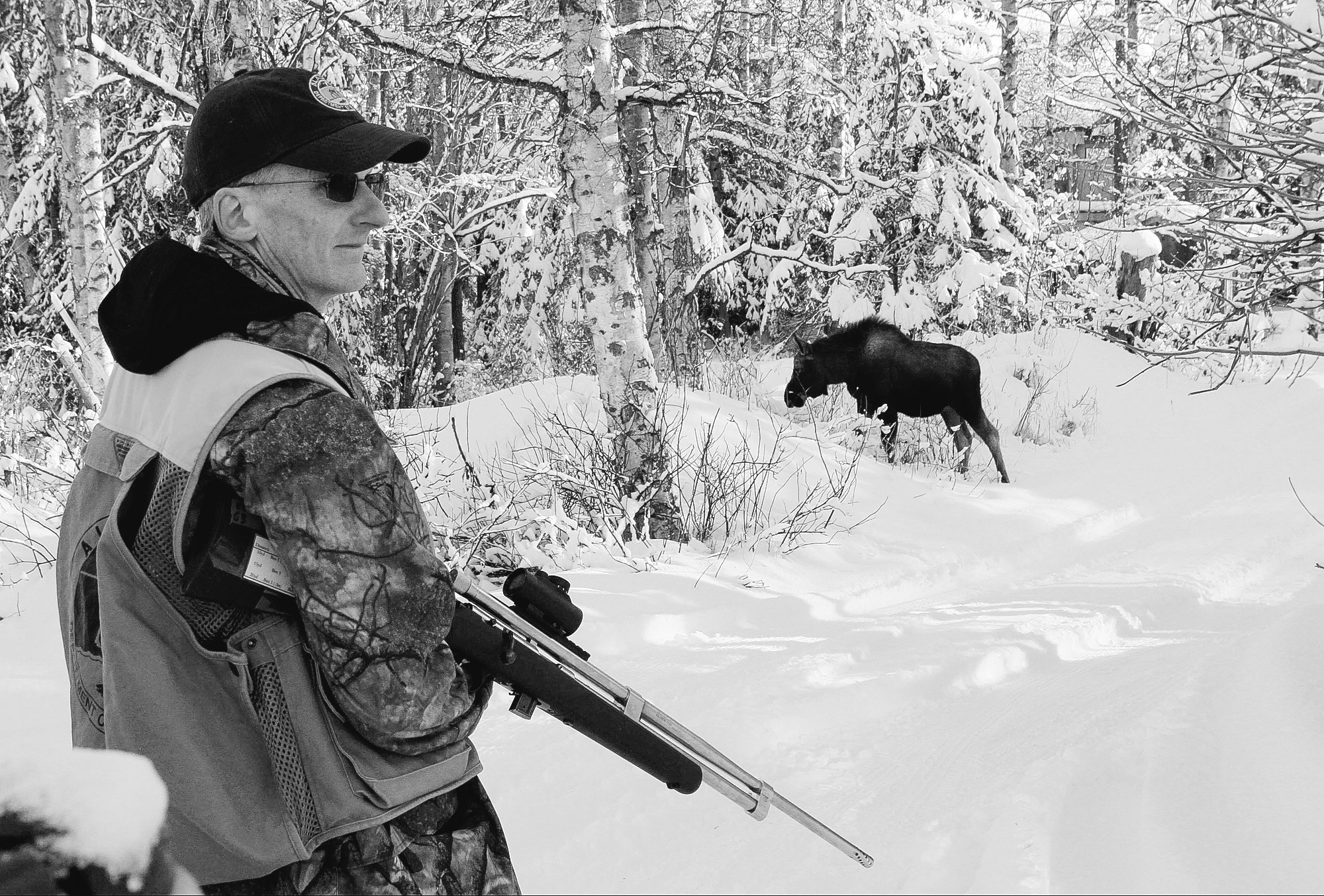 Anchorage Moose Survey