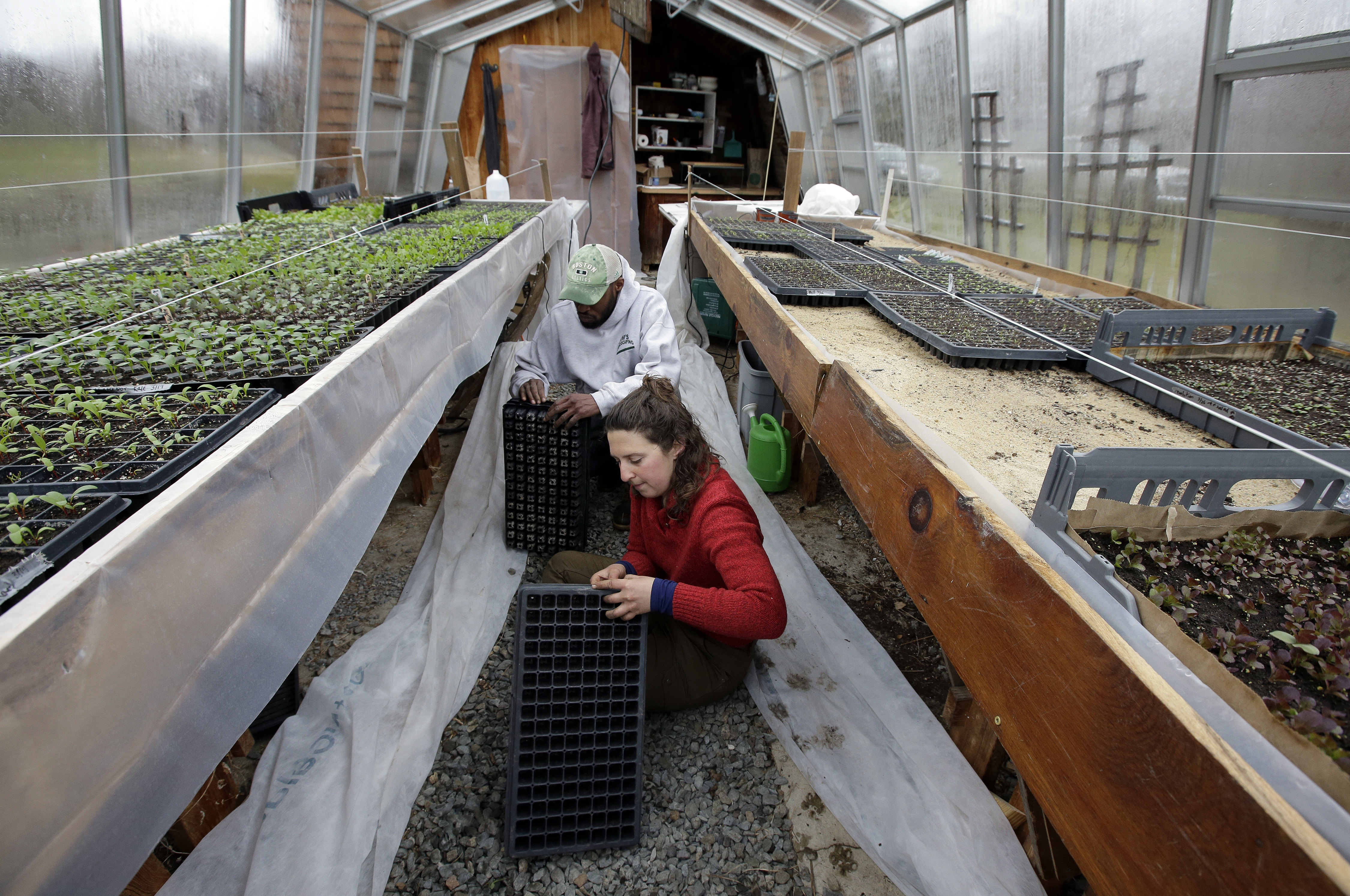 Food and Farm-State Buying Farms