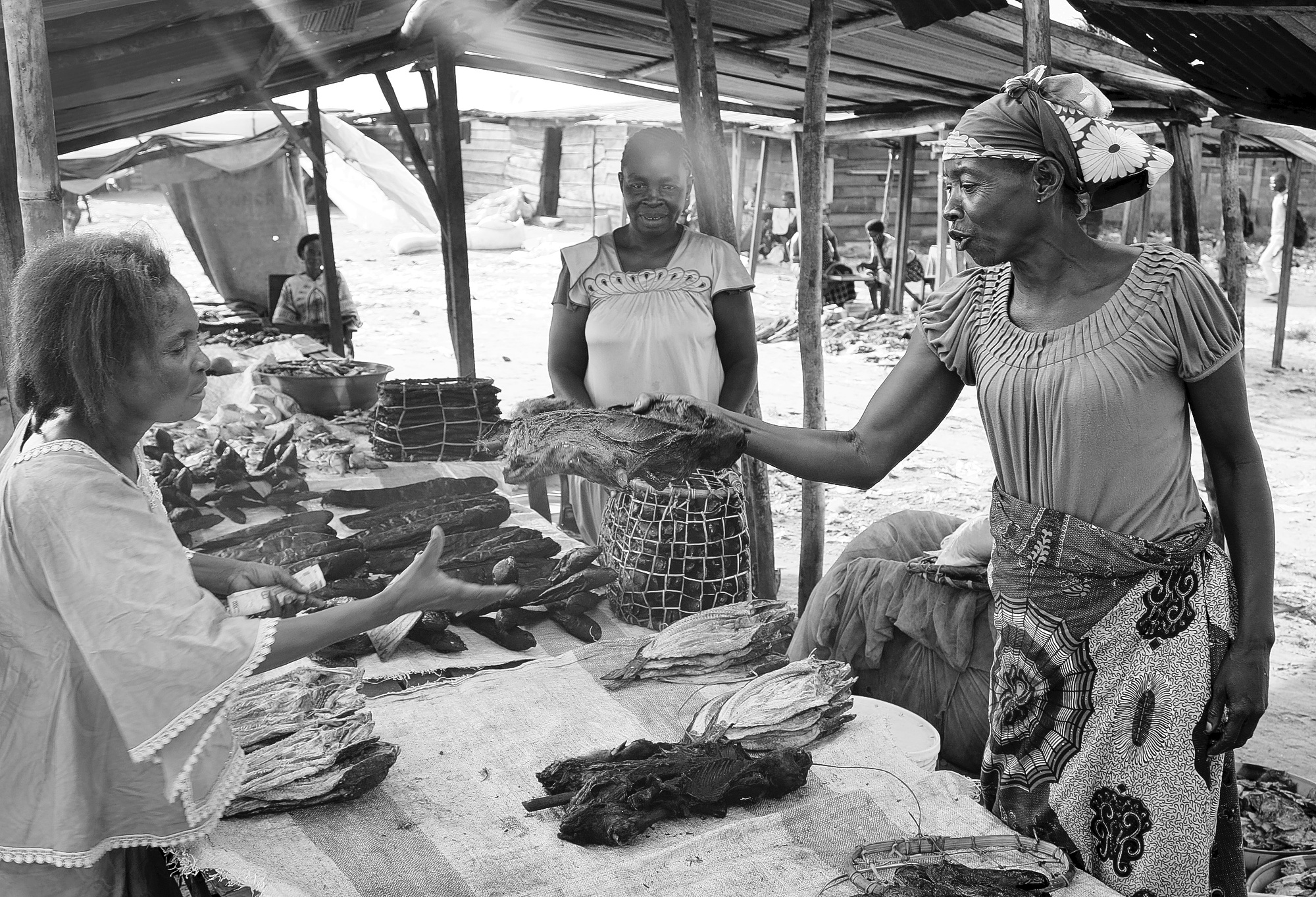 Congo Ebola Bush Meat