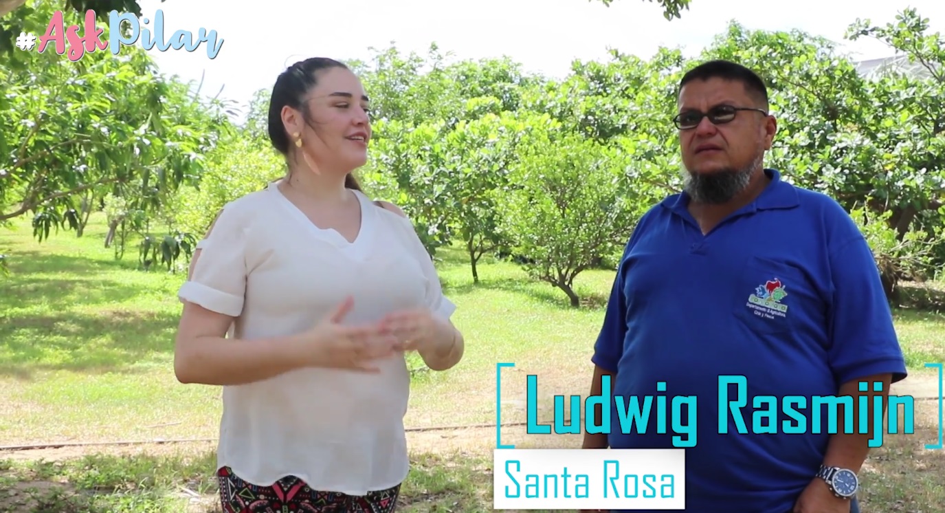 Ask Pilar Episode 3: Santa Rosa