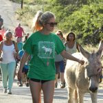 donkeywalk 2018 (1)