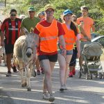 donkeywalk 2018 (2)