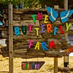 butterflyfarm