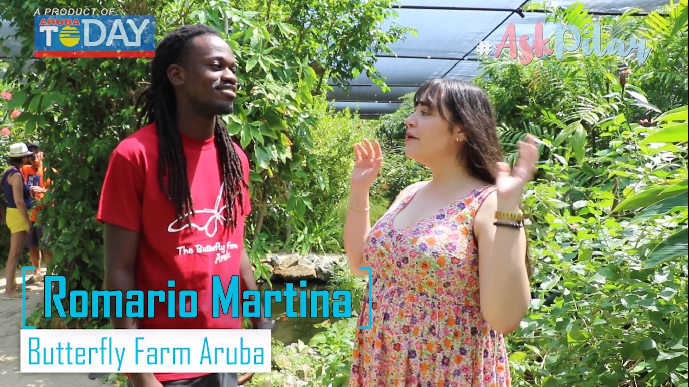 Ask Pilar Episode 11: Butterfly Farm