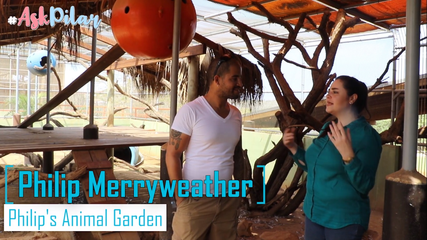 Ask Pilar Episode 10: Philip’s Animal Garden