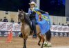 Aruba keeps name alive at Equitation Paso Fino