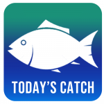 LOGO TODAY’S CATCH OFFICIAL-1