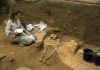 Scholars say Philistine genes help solve biblical mystery