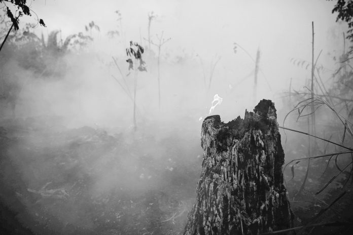 APTOPIX Brazil Amazon Fires