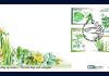 POST ARUBA emits a new set of stamps “Medicinal Plants 2019”