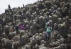 Hardy scientists trek to Venezuela’s last glacier amid chaos