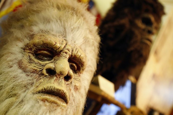Bigfoot Museum