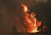 Australia’s most populous state declares wildfire emergency
