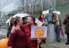 Climate activists win final victory in Dutch court ruling