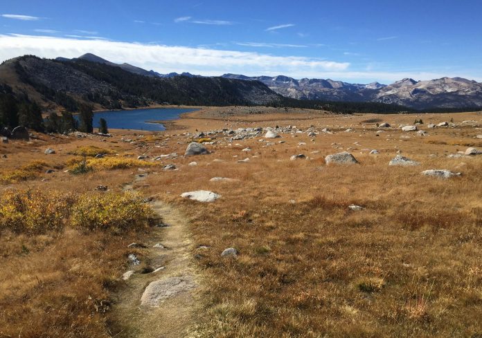Travel Peaceful Yosemite