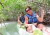 Kayak in the Mangroves