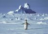 UN: Antarctic high temp records will take months to verify