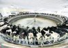 In fight to survive, U.S. dairy farmers look for any tech edge