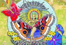 Exploring the Mainstreet of San Nicolas