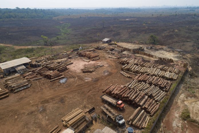 Brazil Amazon Deforestation