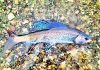 U.S. wildlife agency rejects protections for rare fish species