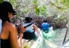 International Day for the Conservation of the Mangrove Ecosystem