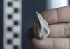 Stone tools suggest earlier human presence in North America