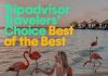 RENAISSANCE ARUBA RESORT & CASINO RECEIVES BEST OF THE BEST AWARDS BY TRIPADVISOR TRAVELERS