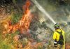 Firefighter dies battling wildfire sparked by gender reveal