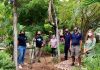 Unique collaboration of organizations for the reforestation of Aruba