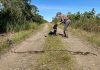 Florida’s new python-sniffing dogs have 1st success