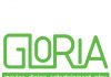 Joe Davis, Managing Director Gloria: “Gloria is an entertainment adventure and the most state-of-the-art movie theater in the Caribbean”