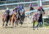 Congress approves bill to crack down on racehorse doping