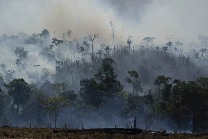 BRASIL-DEFORESTACION