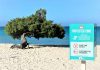 On the initiative of Aruba Tourism Authority: Prohibited to climb or hang goods in the Fofoti tree at Eagle Beach