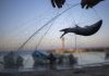 After oil spill, Israel’s fishermen net catch despite ban