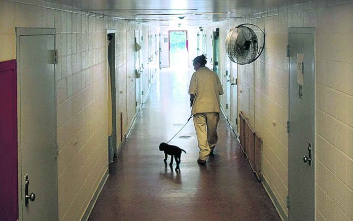 INMATE WALKS PUPPY DOWN CELL BLOCK