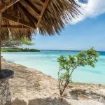 21Mangel Halto_result