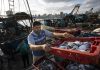 Gaza fishermen take to water again after cease-fire