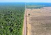 Brazil’s Amazon deforestation surged in April after pledges
