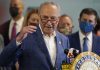 Schumer wants NRA investigated for bankruptcy fraud