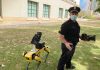 Robotic police dogs: Useful hounds or dehumanizing machines?