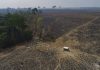 Data signals third year of vast Brazil Amazon deforestation