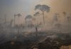 Data raises concerns as Brazil’s forest fire season begins