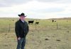 Unhappy with prices, ranchers look to build own meat plants