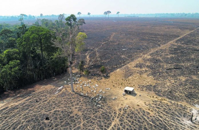Brazil Climate Brazil Deforestation