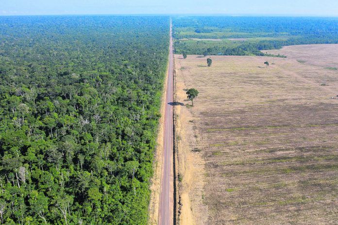 Brazil Amazon