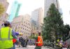 Home for the holidays: Rockefeller tree arrives in NYC